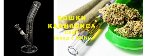 прущие грибы Богданович