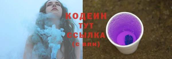 PSILOCYBIN Белокуриха