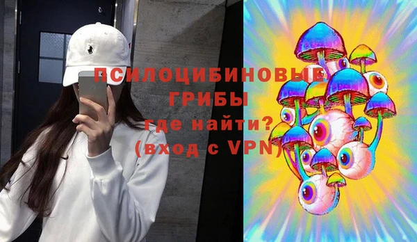 прущие грибы Богданович