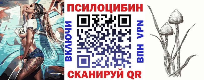 Купить  Узловая  Псилоцибиновые грибы GOLDEN TEACHER 